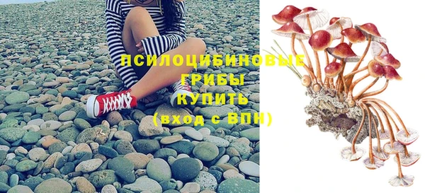 не бодяженный Алзамай