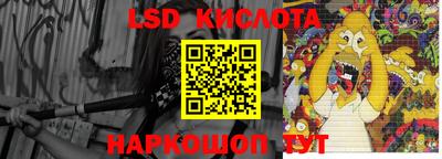 крисы Новодвинск