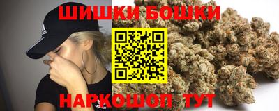 крисы Новодвинск