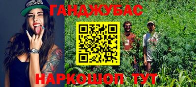 альфа пвп Новокубанск