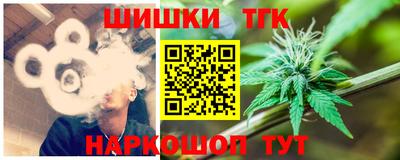 крисы Новодвинск