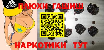 крисы Новодвинск