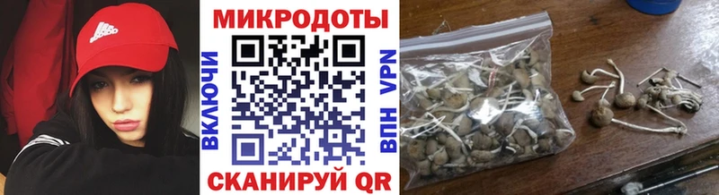 Псилоцибиновые грибы прущие грибы  Чебоксары 