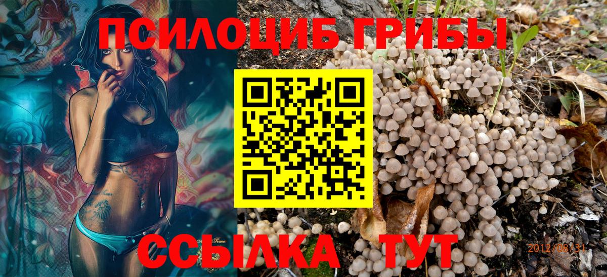 Чебоксары  Псилоцибиновые грибы ЛСД  Псилоцибиновые грибы Magic Shrooms  Вход с VPN 